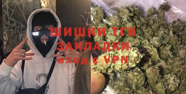 первитин Инта