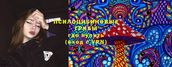 первитин Инта